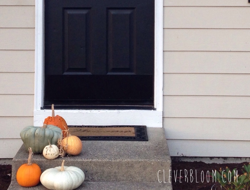 Front door makeover. Tips and tricks for painting your front door. Click here!