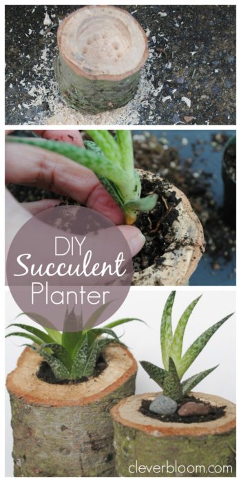 These DIY succulent planters are perfect for your home or use as a wedding centerpiece. Made from an old Christmas tree stump, your succulents can grow inside in an outdoor environment! Visit cleverbloom.com for an easy tutorial with lots of pictures to help you along.