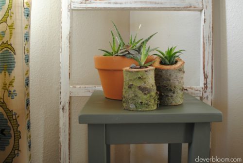 These DIY succulent planters are perfect for your home or use as a wedding centerpiece. Made from an old Christmas tree stump, your succulents can grow inside in an outdoor environment! Visit cleverbloom.com for an easy tutorial with lots of pictures to help you along.