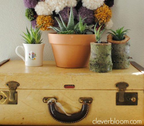 These DIY succulent planters are perfect for your home or use as a wedding centerpiece. Made from an old Christmas tree stump, your succulents can grow inside in an outdoor environment! Visit cleverbloom.com for an easy tutorial with lots of pictures to help you along.