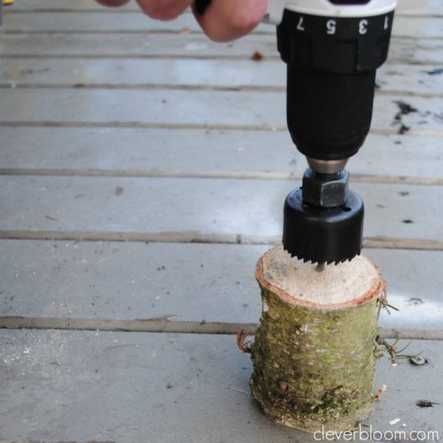 These DIY succulent planters are perfect for your home or use as a wedding centerpiece. Made from an old Christmas tree stump, your succulents can grow inside in an outdoor environment! Visit cleverbloom.com for an easy tutorial with lots of pictures to help you along.