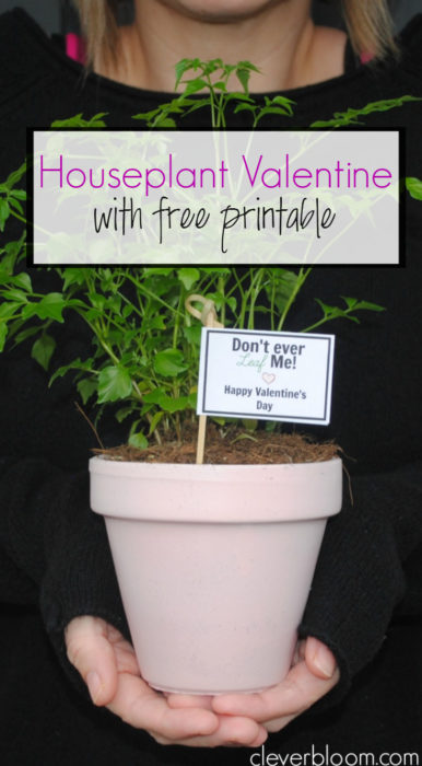 DIY Valentine with Free Printable. This Plant Valentine is a great candy alternative. Free Printable Flags to stick in the pots give it the perfect touch!