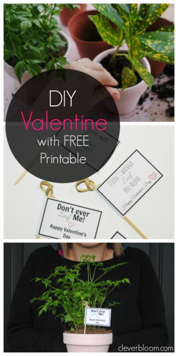 DIY Valentine with Free Printable. This Plant Valentine is a great candy alternative. Free Printable Flags to stick in the pots give it the perfect touch!