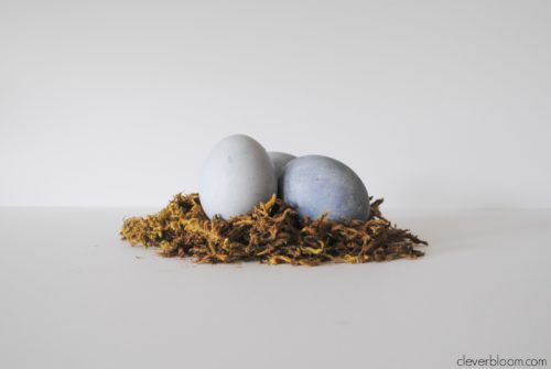 Blueberry Dyed Eggs. Learn how to dye eggs the natural way with fruits or vegetables. Visit cleverbloom.com for details.