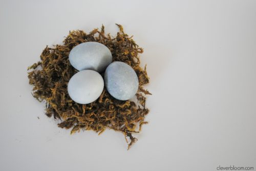 Blueberry Dyed Eggs. Learn how to dye eggs the natural way with fruits or vegetables. Visit cleverbloom.com for details.