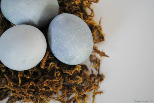 Blueberry Dyed Eggs. Learn how to dye eggs the natural way with fruits or vegetables. Visit cleverbloom.com for details.