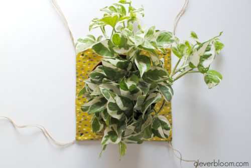 This DIY Plant Hanger is such a fun way to display your favorite plant! Grab that fabric you have laying around the house and visit cleverbloom.com for a full tutorial.