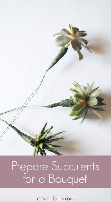 Learn how to prepare succulents for a bouquet and then Make a Tiny Succulent Bouquet for any occasion! And when you're done with the bouquet re-pot the succulents! Win/Win!!