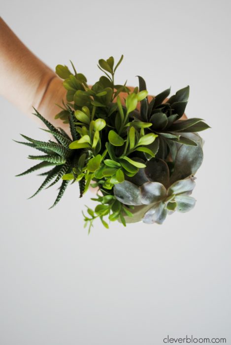 Make a Tiny Succulent Bouquet for any occasion! And when you're done with the bouquet re-pot the succulents! Win/Win!!