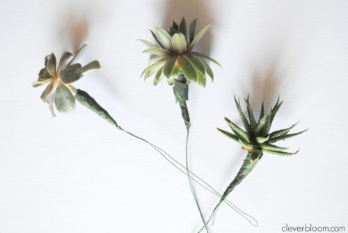 Make a Tiny Succulent Bouquet for any occasion! And when you're done with the bouquet re-pot the succulents! Win/Win!!