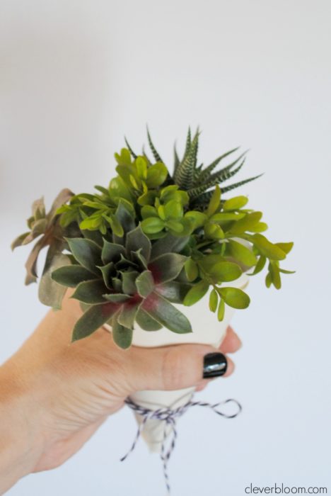 Make a Tiny Succulent Bouquet for any occasion! And when you're done with the bouquet re-pot the succulents! Win/Win!!