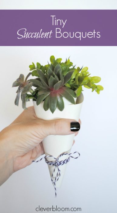 Make a Tiny Succulent Bouquet for any occasion! And when you're done with the bouquet re-pot the succulents! Win/Win!!