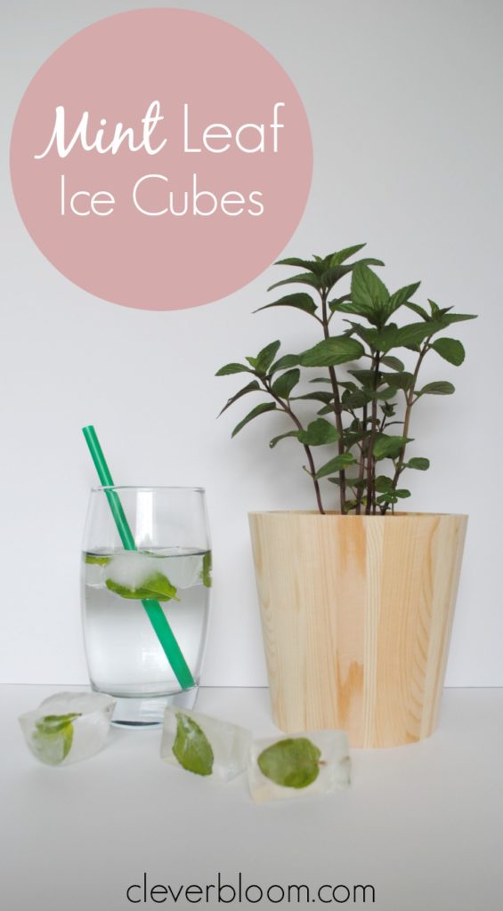 Add a gorgeous and refreshing element to any beverage with Mint Leaf Ice Cubes. Perfect for any time of year but amazing for those hot summer days!