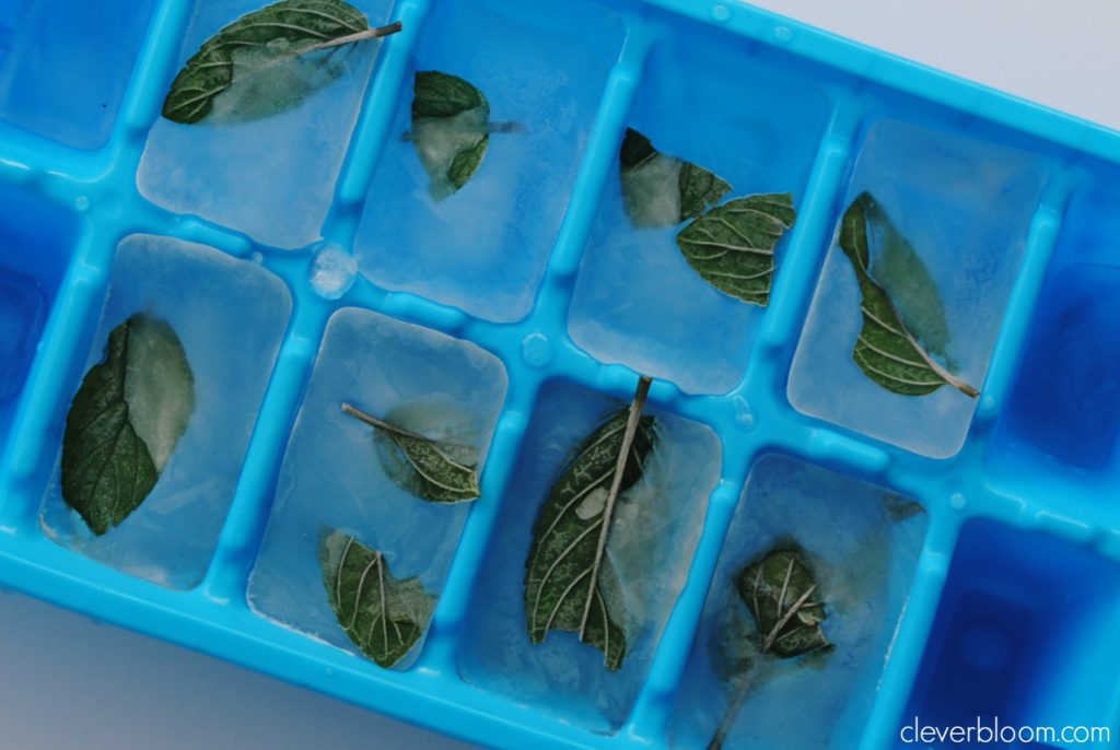 Add a gorgeous and refreshing element to any beverage with Mint Leaf Ice Cubes. Perfect for any time of year but amazing for those hot summer days!