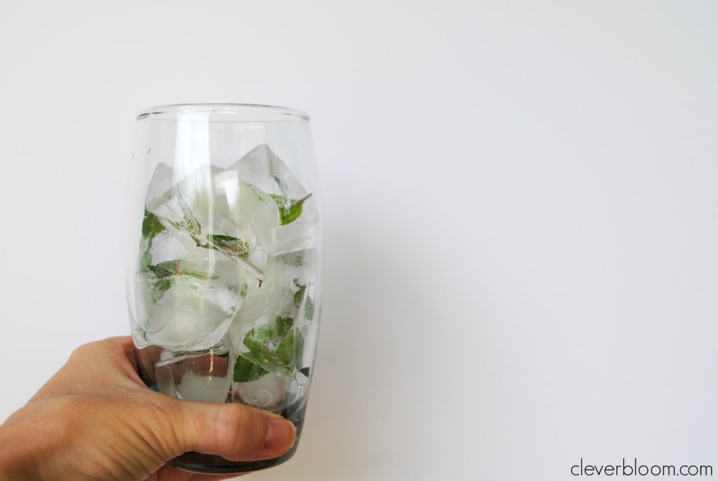 Add a gorgeous and refreshing element to any beverage with Mint Leaf Ice Cubes. Perfect for any time of year but amazing for those hot summer days!