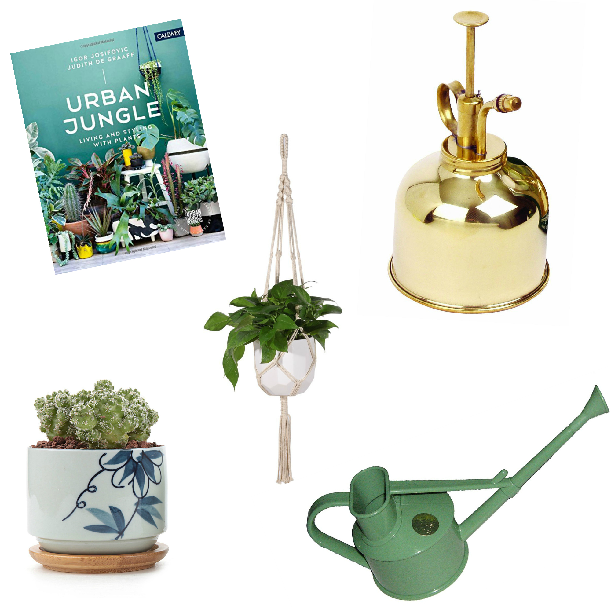 Gift Ideas for Plant Lovers- Clever Bloom