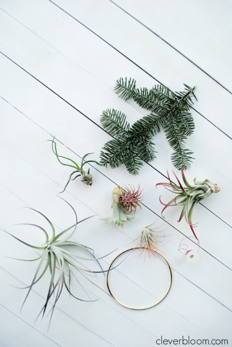 This modern DIY Air Plant Wreath is easy and perfect for any holiday! Plus a link on how to care for tillandsia.