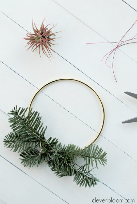 This modern DIY Air Plant Wreath is easy and perfect for any holiday! Plus a link on how to care for tillandsia.