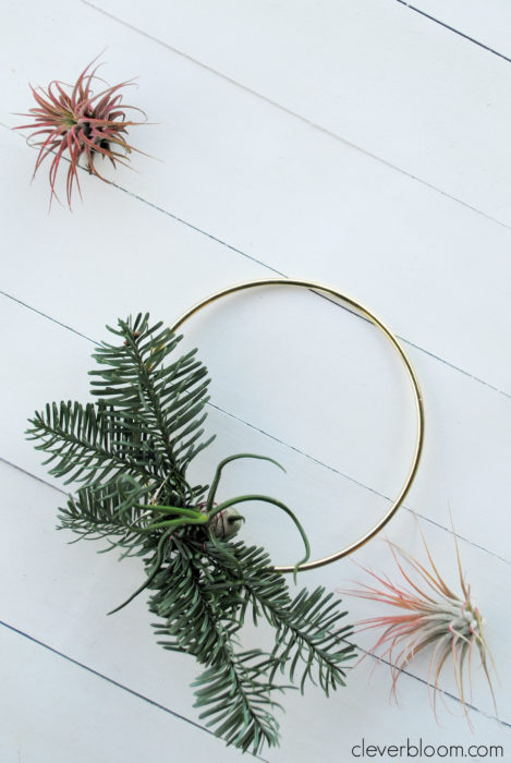 This modern DIY Air Plant Wreath is easy and perfect for any holiday! Plus a link on how to care for tillandsia.