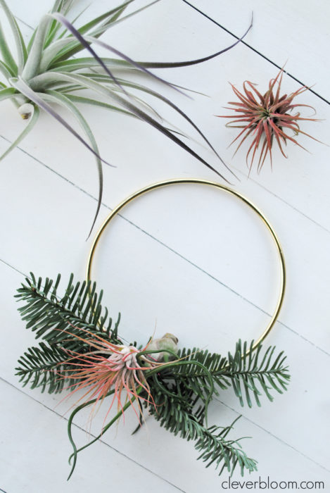 This modern DIY Air Plant Wreath is easy and perfect for any holiday! Plus a link on how to care for tillandsia.