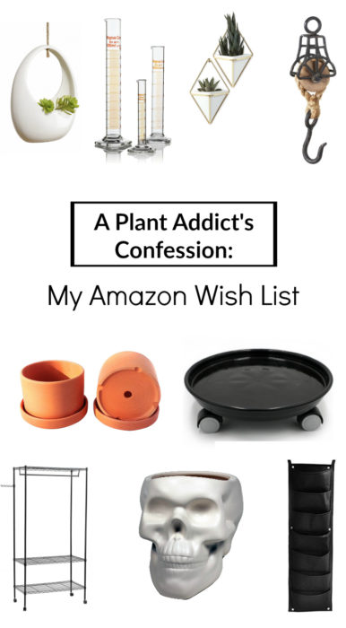 See what houseplant blogger, Clever Bloom, has on her Amazon wish list. You may just find something you want too!