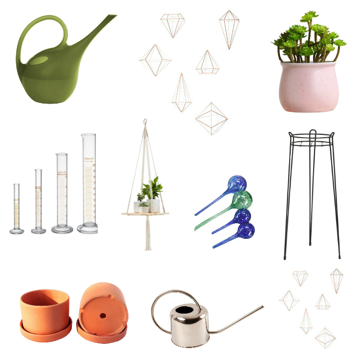 Plant Lady Gift Guide from blogger Clever Bloom - You'll love these affordable items for the plant lover on your list. #plants #houseplants #giftguide #plantlady