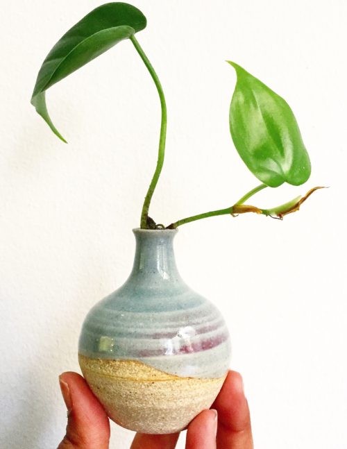 Plant Lover Gifts - Knight Ceramics Pots and Bud Vases.