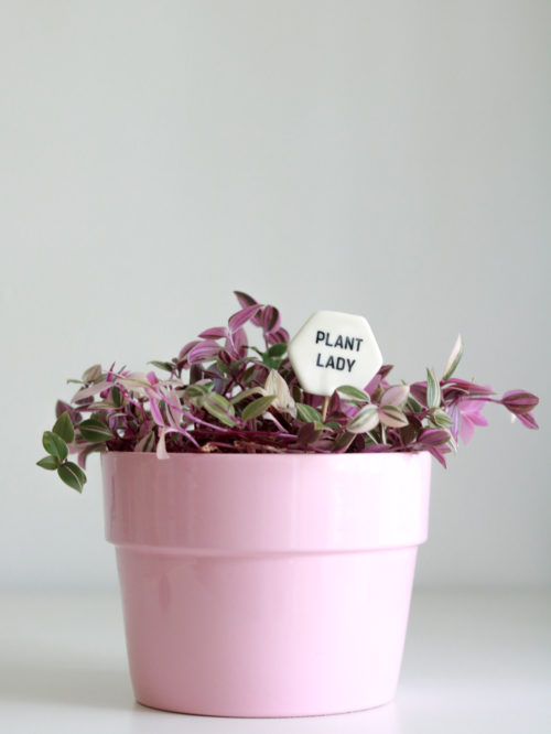 Plant Lover Gifts - Plant Pokes by Her Name Is Mud