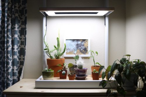 Check out this sleek, modern, Coltura LED Grow Frame - Perfect for Growing Plants in Dark Corners #ad #sponsored #lovegardeners #led #growlights #plants #indoorplants #plantlady