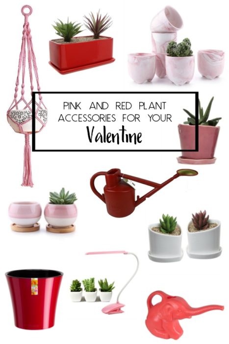Looking for a gift for your Plant Loving Valentine? Look no further! Here are some adorable pink and red accessories for your Valentine. #valentine #valentinesday #heart #red #pink #planters #houseplants #accessories #indoorplants #urbanjunglebloggers #houseplantclub 