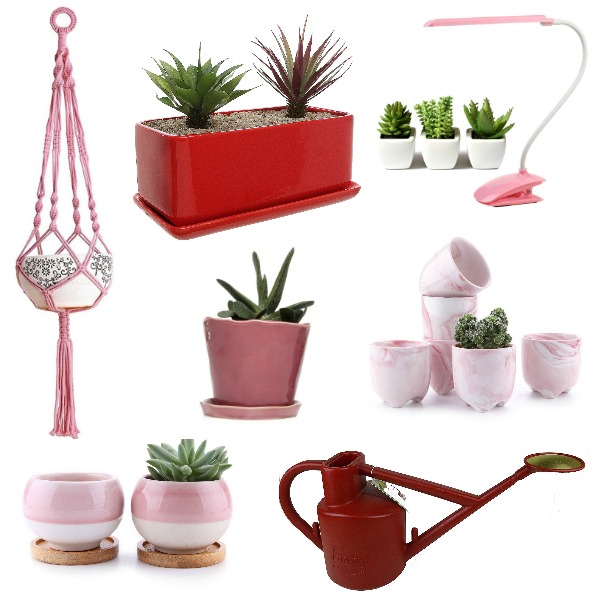 Looking for a gift for your Plant Loving Valentine? Look no further! Here are some adorable pink and red accessories for your Valentine. #valentine #valentinesday #heart #red #pink #planters #houseplants #accessories #indoorplants #urbanjunglebloggers #houseplantclub