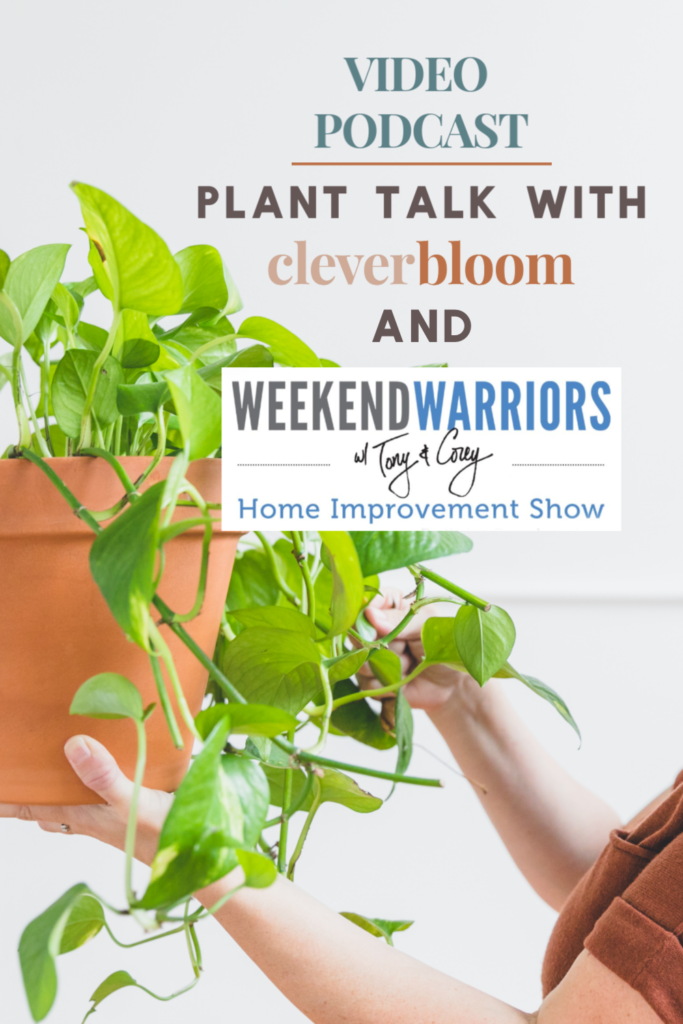 Plant Talk with Clever Bloom and The Weekend Warriors Home Improvement Show. This video podcast covers all things house plants including how to pick the perfect plant, watering tips and more! #houseplants #plantcaretips #houseplanttalk