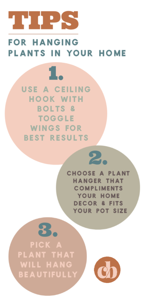 Are you looking to add some life to you home with plants? Look no further! These are the best houseplants to hang in your home! #cleverbloom #houseplants #hangingplants #howtohangplants