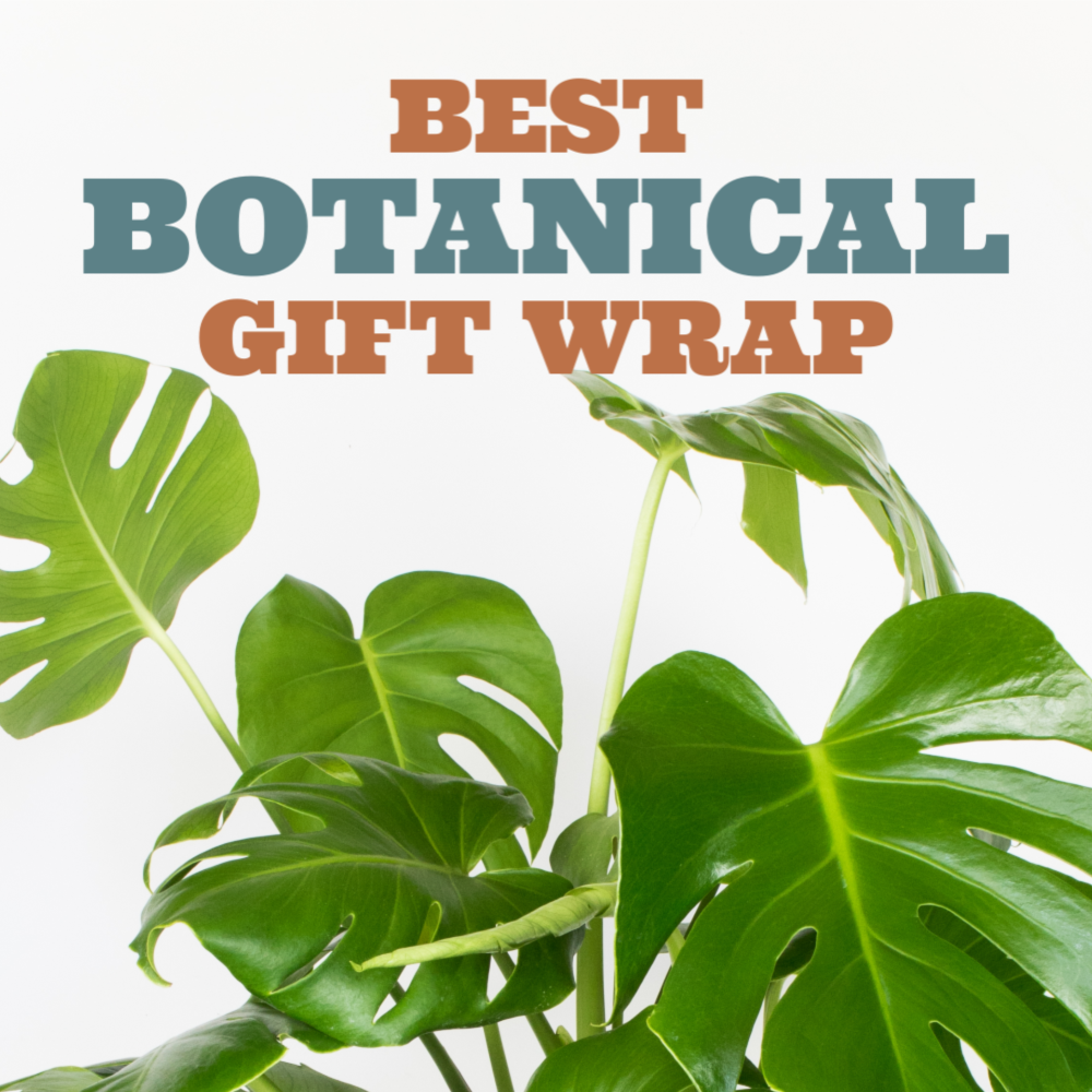 Complete the perfect gift for the plant lover in your life with the best botanical gift wrap. All available online with fast shipping! #botanicalgiftwrap #houseplants