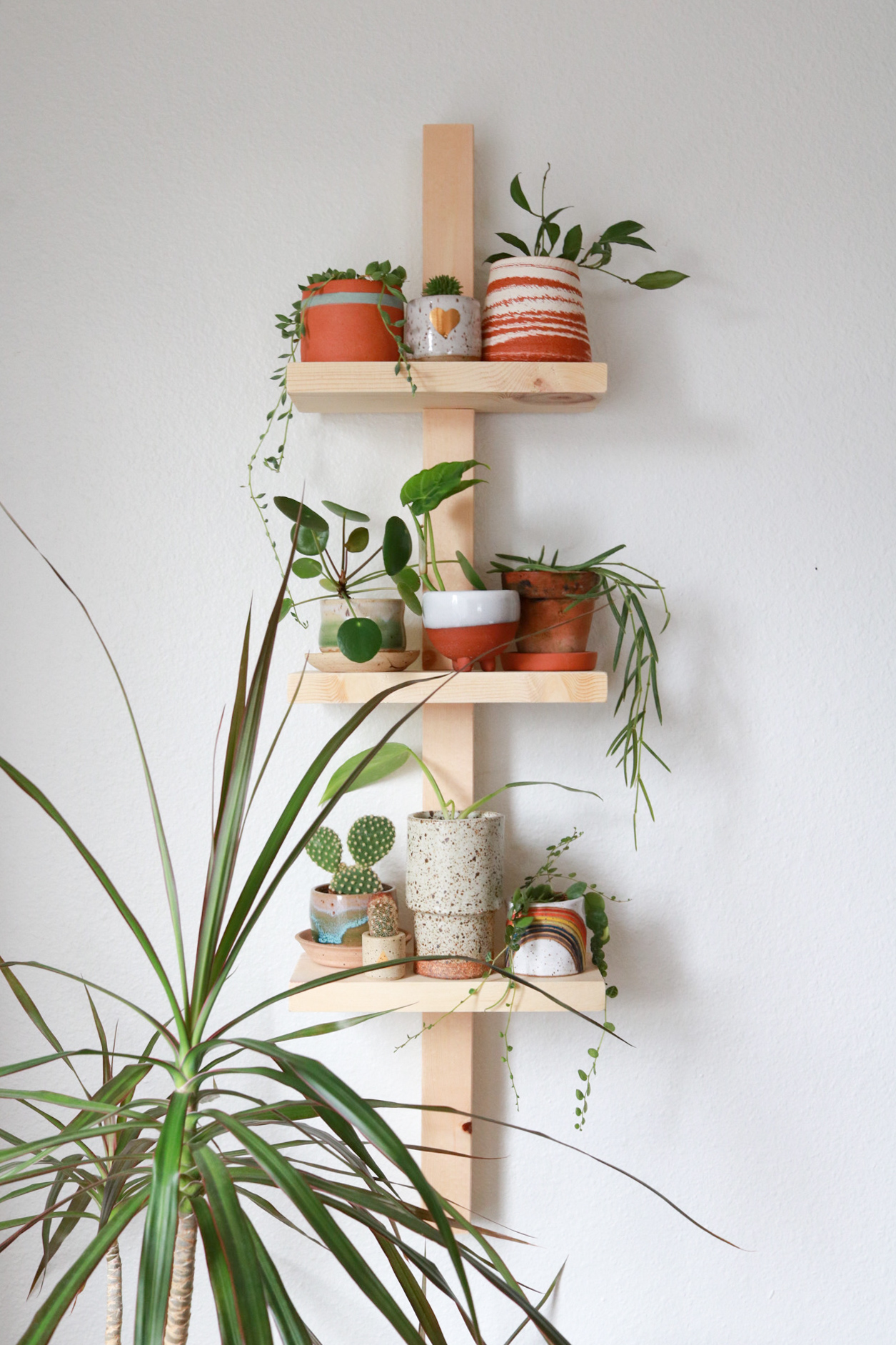 Have you been looking for a cute modern shelf to display your plant collection? Look no further! This modern plant shelf is pretty easy to make and it can be made for under $10. Display all of your favorite pots and knick knack with this easy DIY. #houseplants #displayshelf #diyshelf #modernorganization