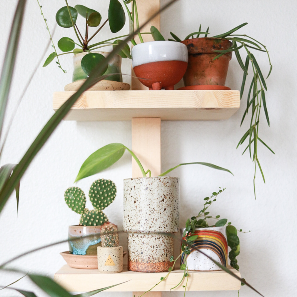 Have you been looking for a cute modern shelf to display your plant collection? Look no further! This modern plant shelf is pretty easy to make and it can be made for under $10. Display all of your favorite pots and knick knack with this easy DIY. #houseplants #displayshelf #diyshelf #modernorganization