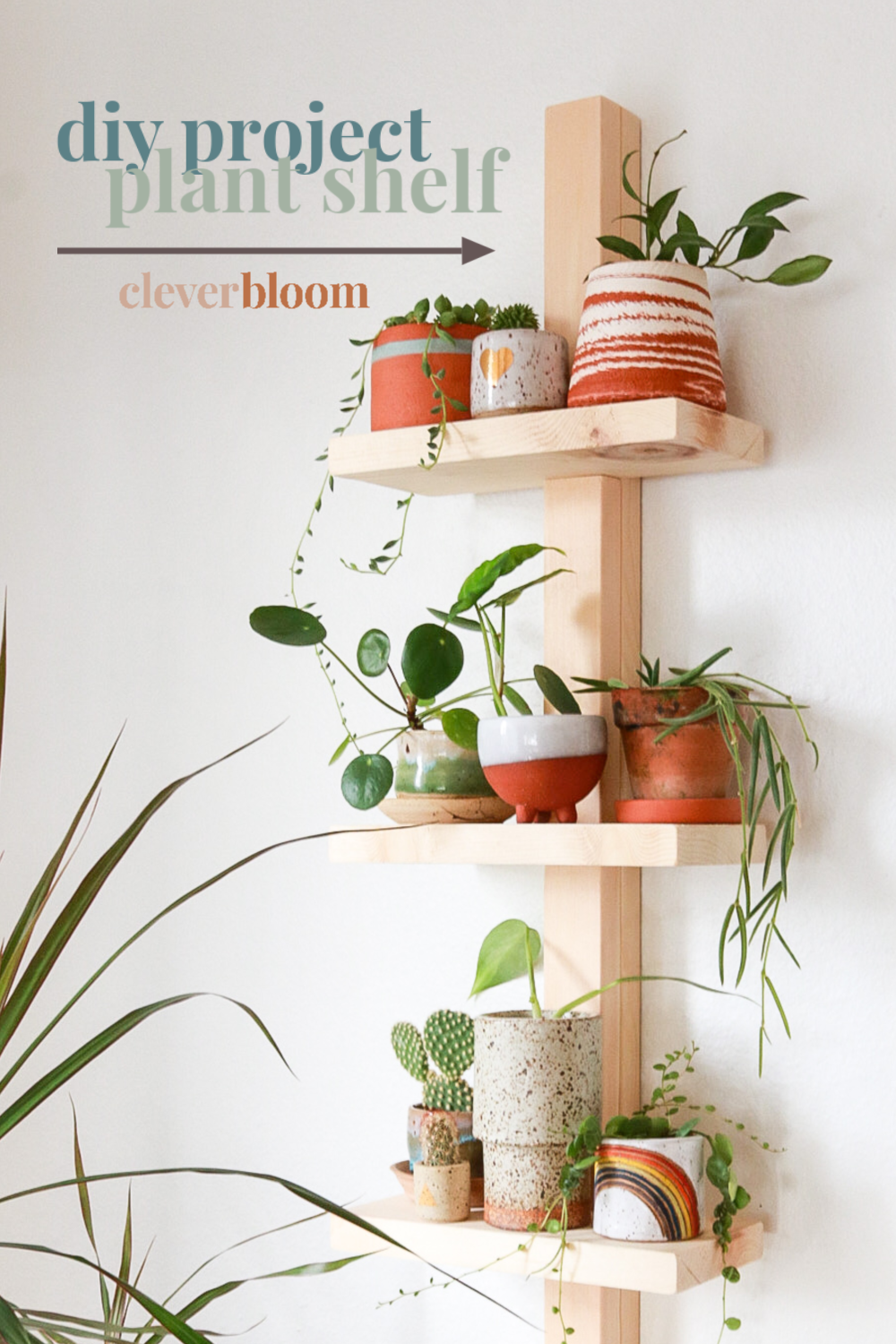 Have you been looking for a cute modern shelf to display your plant collection? Look no further! This modern plant shelf is pretty easy to make and it can be made for under $10. Display all of your favorite pots and knick knack with this easy DIY. #houseplants #displayshelf #diyshelf #modernorganization