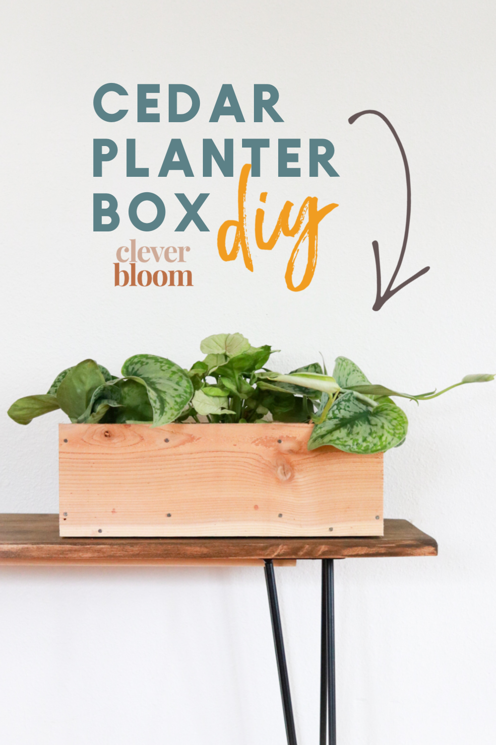 This easy weekend DIY can be made with just ONE cedar fence board. Make this Cedar Planter Box for your indoor or outdoor garden. Clever Bloom #houseplants #woodenplanter