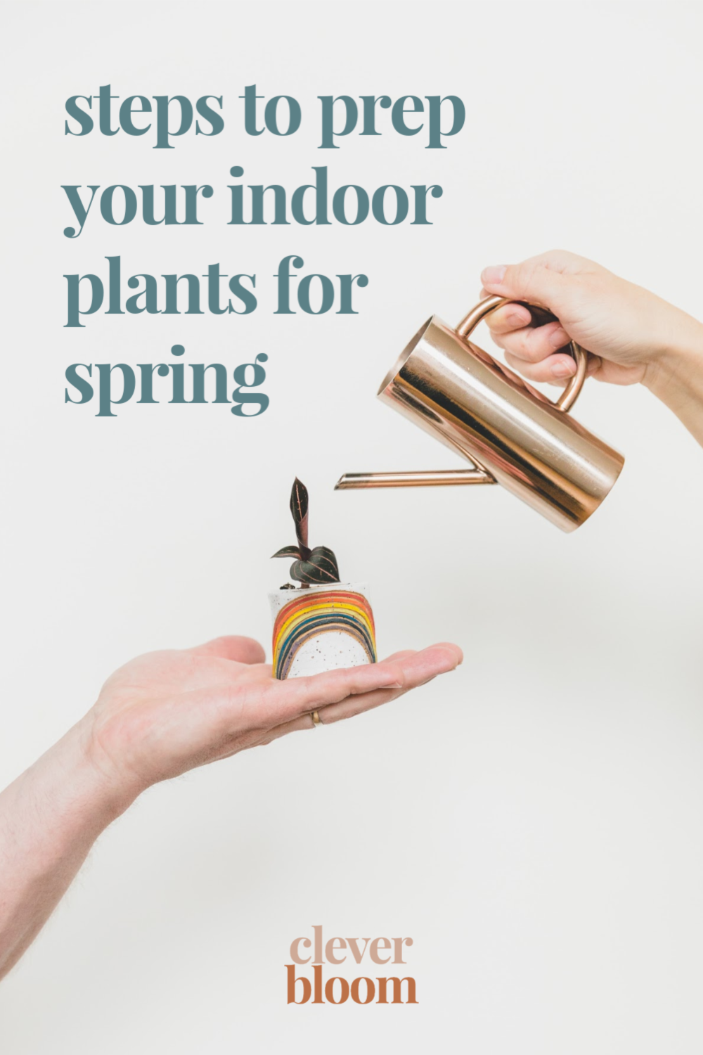 Are you indoor plants ready for Spring? In just 3 easy steps, your houseplants will be prepped and ready to grow big and strong! Clever Bloom #indoorplants #indoorplantcare
