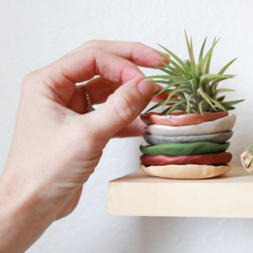 DIY Stackable Air Plant Plates are a beautiful way to display your air plants around the home. Learn how from Clever Bloom!
