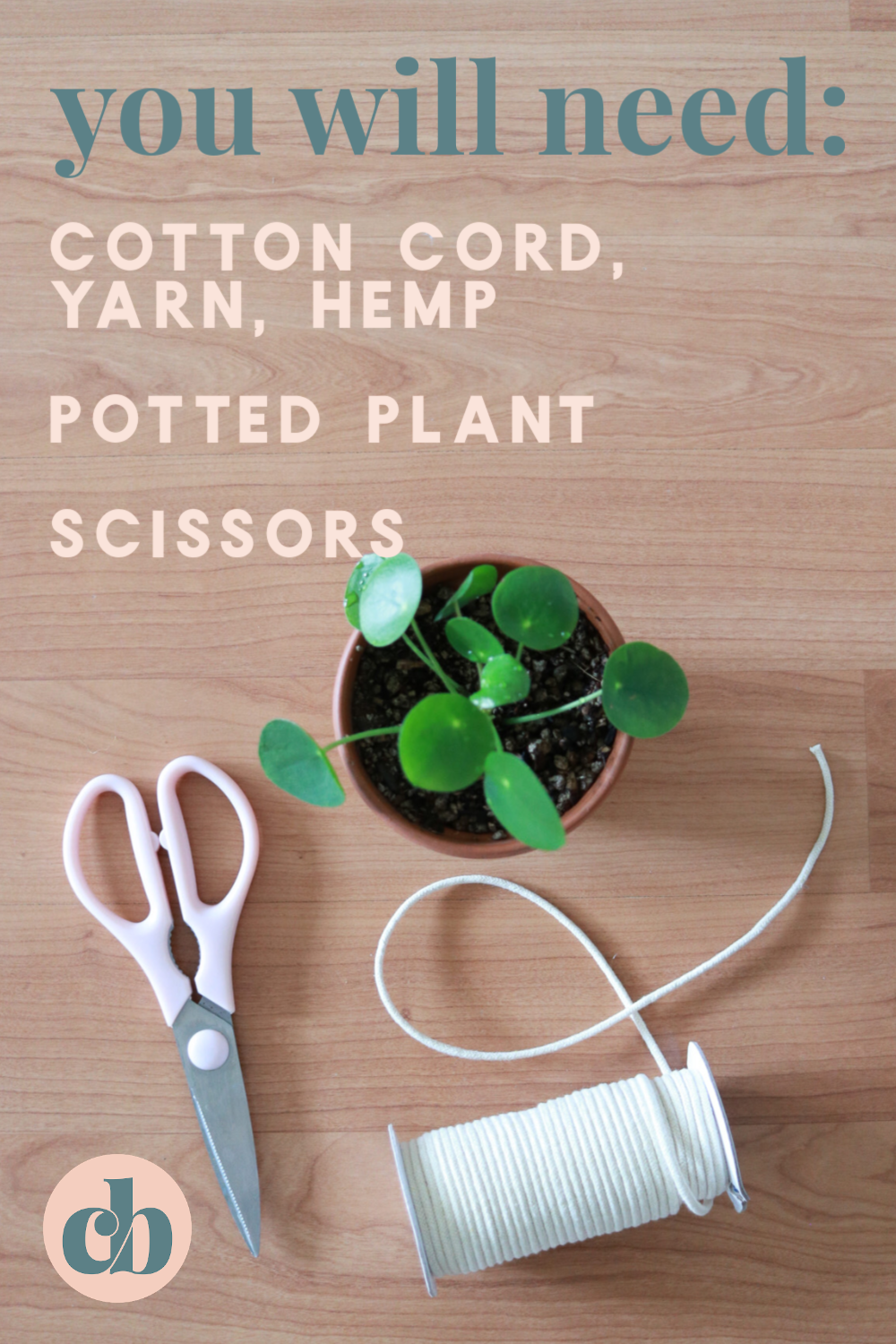 Learn how to make this simple, beautiful plant hanger with just one knot! Clever Bloom