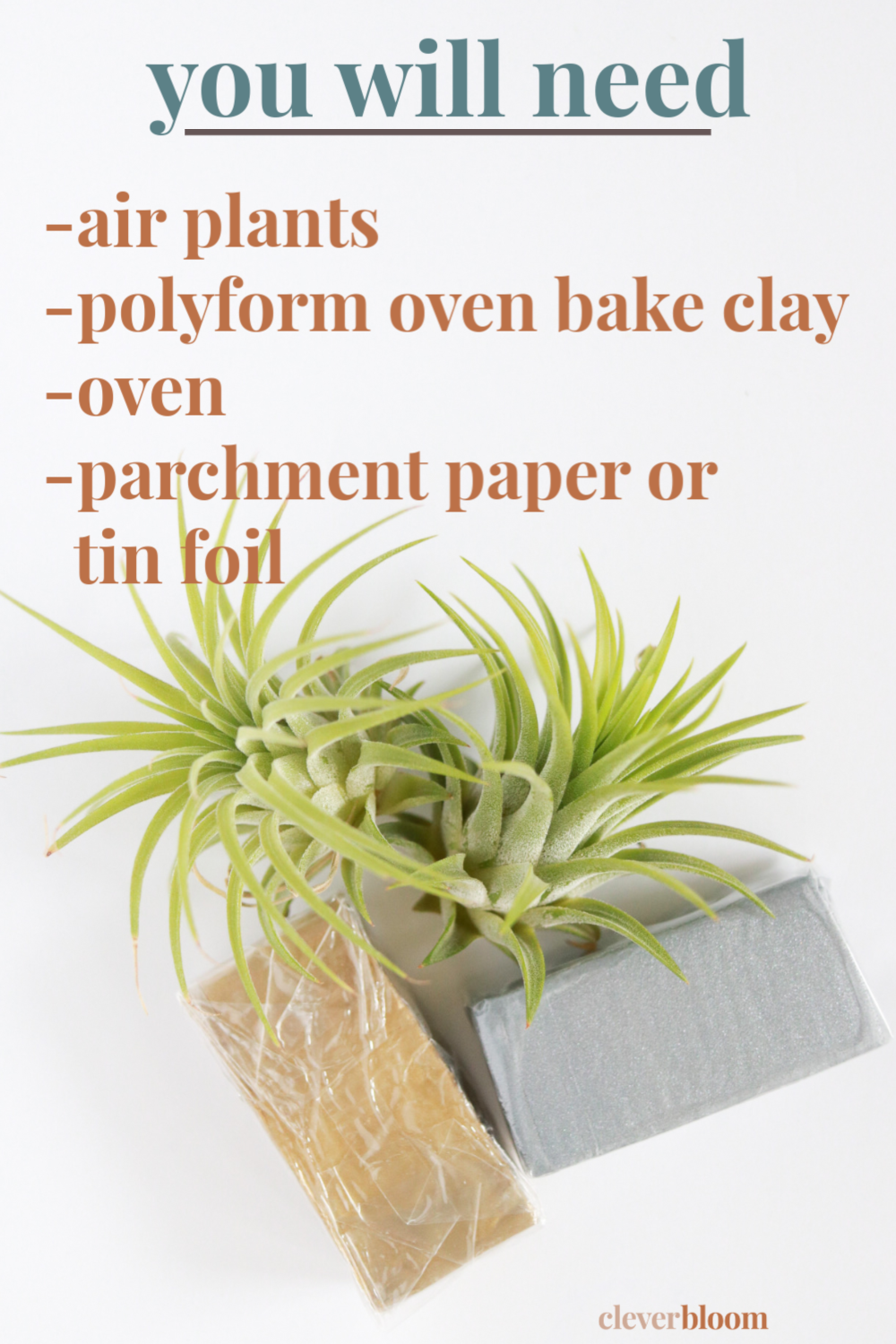 DIY Stackable Clay Plates for Air Plants are a fun, easy, and colorful way to display your air plants around the home. Learn how from Clever Bloom!