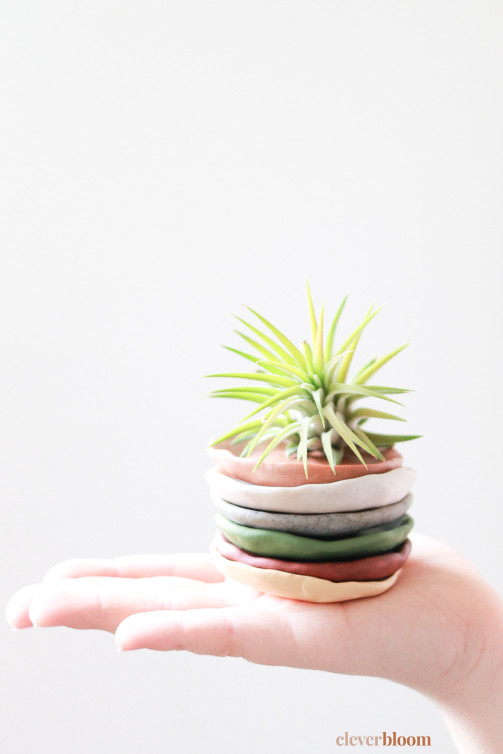 DIY Stackable Clay Plates for Air Plants are a fun, easy, and colorful way to display your air plants around the home. Learn how from Clever Bloom!