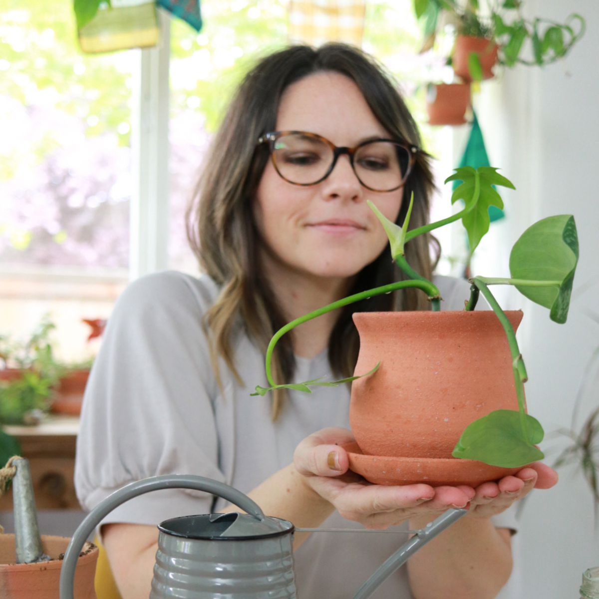 Clever Bloom-Learn how to transfer your cuttings to soil. It's super easy, but I have a few tips and will help with your plants success!