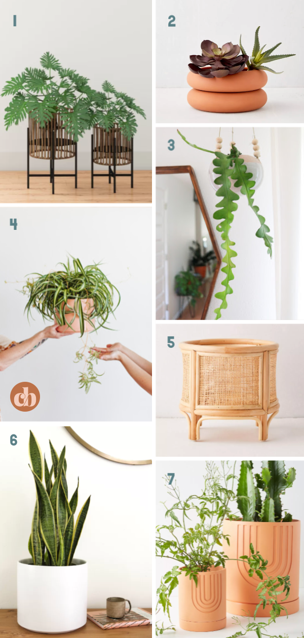 The best Pots & Planters to Refresh Your Home. Looking for affordable ways to add life and freshen up your space? A new pot/plant combo can do wonders. Check out my current favorite pots and planters. - Clever Bloom