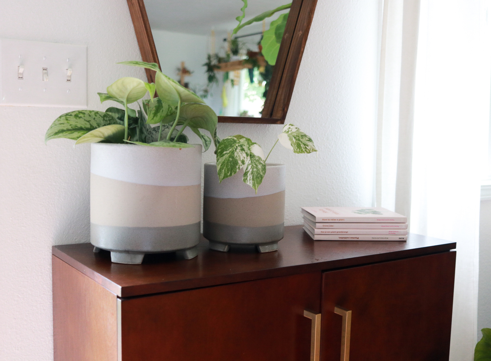 The best Pots & Planters to Refresh Your Home. Looking for affordable ways to add life and freshen up your space? A new pot/plant combo can do wonders. Check out my current favorite pots and planters. - Clever Bloom