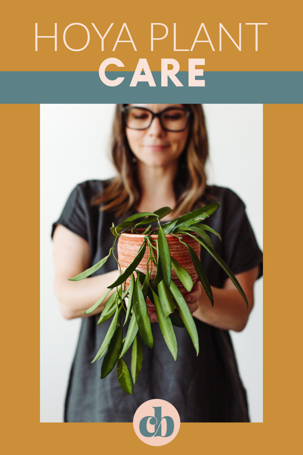 Learn how to care for your Hoya plant. Everything you'll need to know from light, to soil, and how to water. Clever Bloom #hoya #houseplants