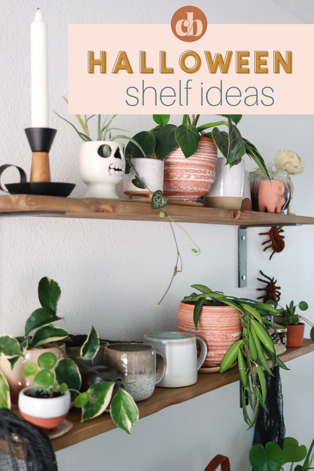 Simple Halloween Shelf Ideas that are inexpensive and easy to create. Clever Bloom