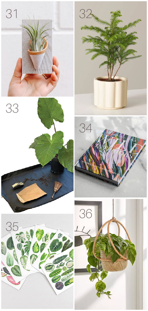 Over 50 Ideas for Plant Lovers - Images showing different gift ideas.