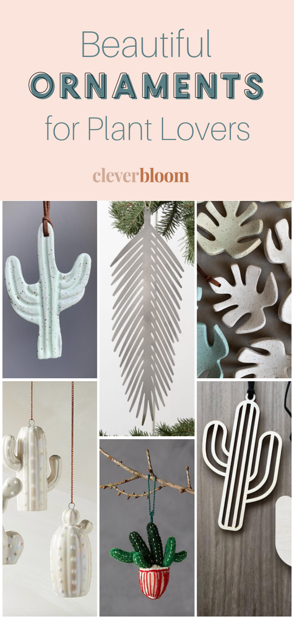 Botanical Ornaments ideas for Plant Lovers - Clever Bloom